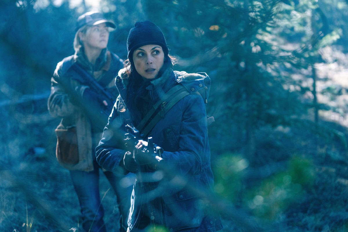 Neue Filme in guter Qualität, die Sie bereits am 7.12.2024 online finden können