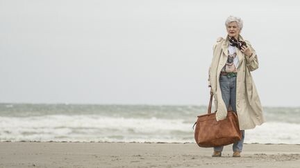 Eine gute Serie aus Frankreich, die uns empfohlen wurde. Eine Option für den Abend - Sexuelle Umerziehung