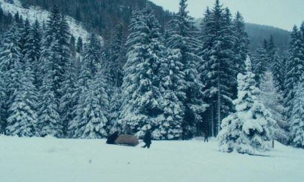 „Die Bergbraut“: Poetisches Drama in den Alpen 2024