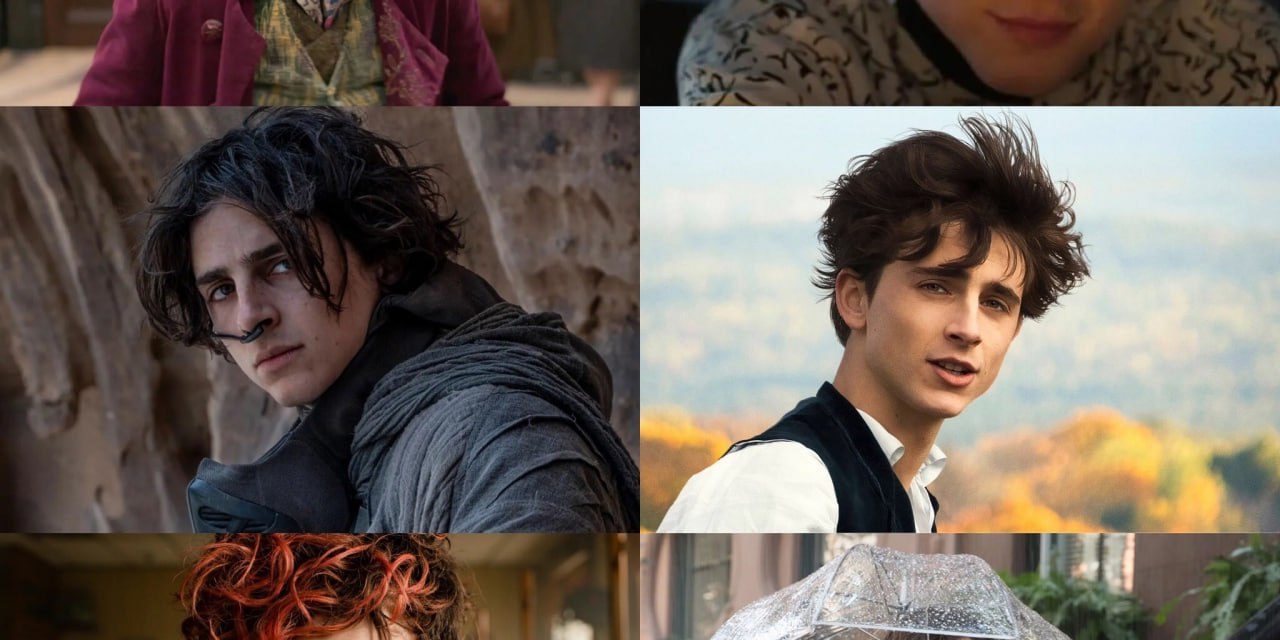 Timothée Chalamet wird 29: Ein Star feiert seinen Geburtstag!