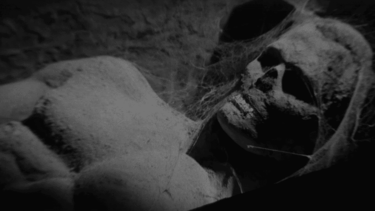 Atmosphärischer Gothic-Horror-Film, den jeder sehen sollte | Horror nach Kurzgeschichten von Edgar Allan Poe | Film Advisor