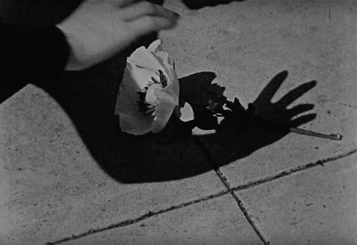 Weniger ist besser: 10 der wichtigsten Kurzfilme der Filmgeschichte