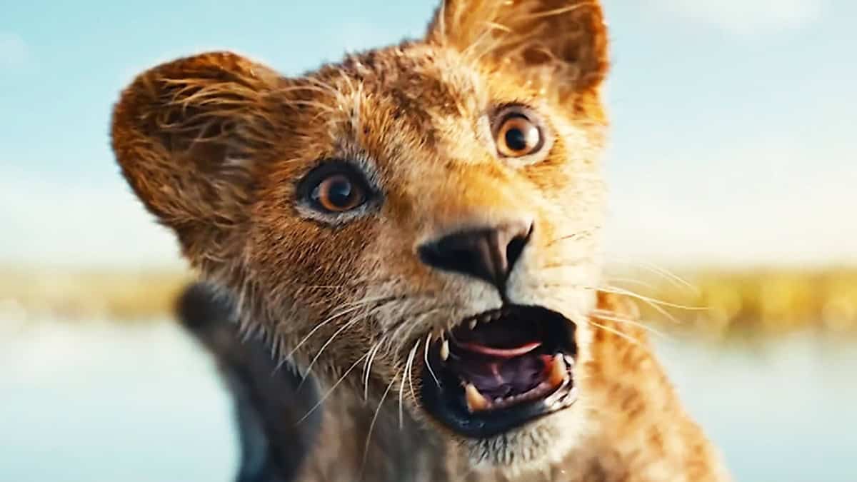 Die meist erwarteten Filme des Winters 2024 - 2025