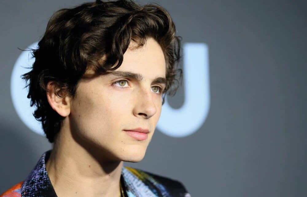 In welchem düsteren Thriller hat Timothee Chalamet keine Rolle bekommen?