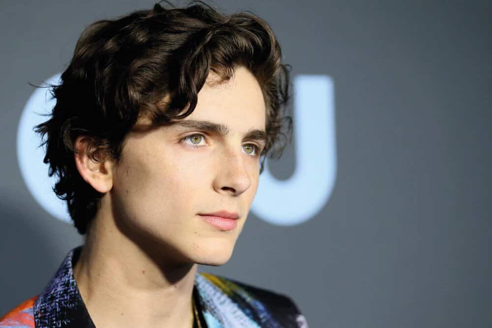 In welchem düsteren Thriller hat Timothee Chalamet keine Rolle bekommen?
