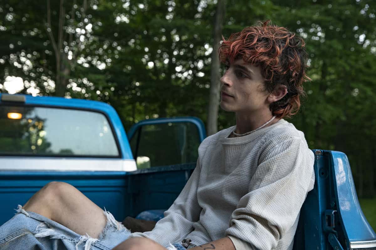 In welchem düsteren Thriller hat Timothee Chalamet keine Rolle bekommen?