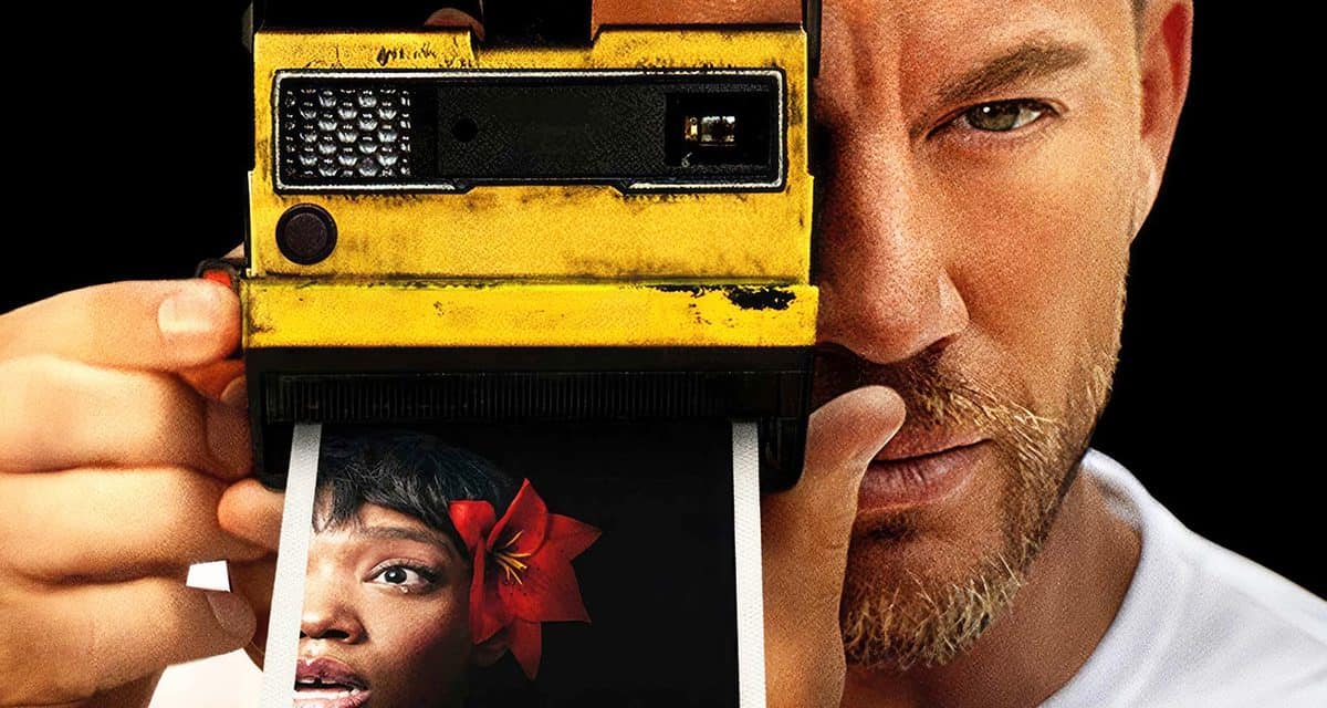 Neun neue Filme für 2024, die bereits veröffentlicht wurden – eine interessante Auswahl ist endlich da