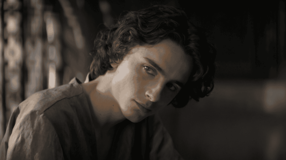 In welchem düsteren Thriller hat Timothee Chalamet keine Rolle bekommen?