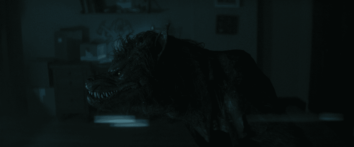 Rückblick auf Another World: Year of the Wolf 2024: Chaos wie in Judgment Night, nur mit Reißzähnen und Fell.