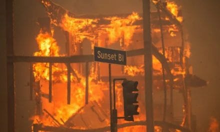 Hollywood-Apokalypse: Leben in Los Angeles im Chaos