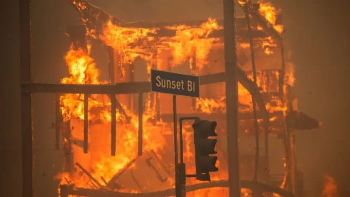 Hollywood-Apokalypse: Leben in Los Angeles im Chaos