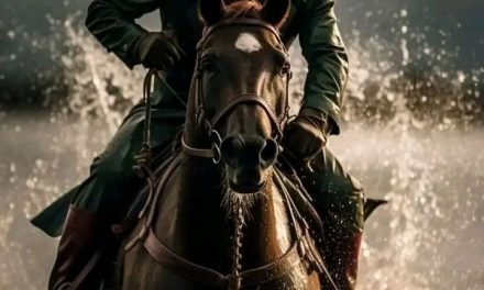 Superhelden auf Pferden: Ein episches Abenteuer erleben!