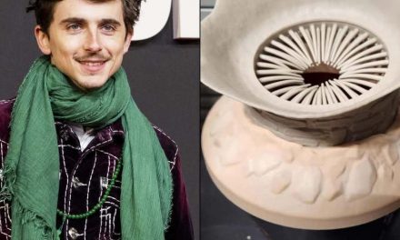 Timothée Chalamet und sein geheimnisvoller Popcorneimer