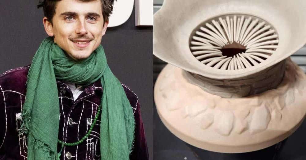 Timothée Chalamet und sein geheimnisvoller Popcorneimer