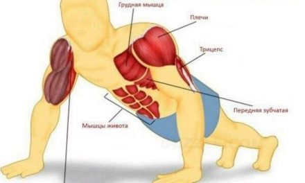 6-Wochen Push-up-Programm für Kraft und Ausdauer 💪
