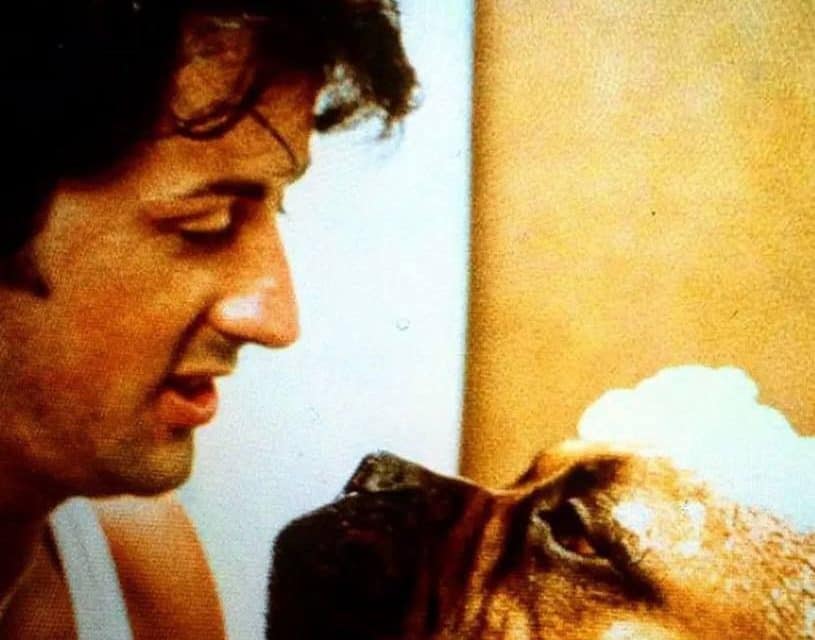 Sylvester Stallone und Butkus: Eine herzerwärmende Geschichte