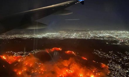 Los Angeles kämpft gegen verheerende Brände in Vororten