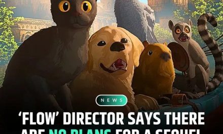 Animierter Film ‚Pоток (Flow, 2024)‘ begeistert Kritiker