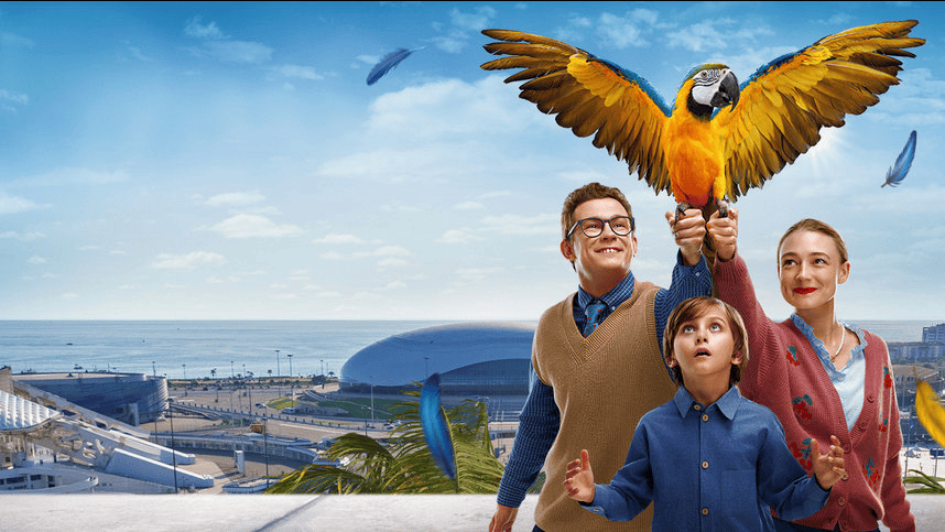 Neue russische Filme, die schon in den ersten Minuten süchtig machen