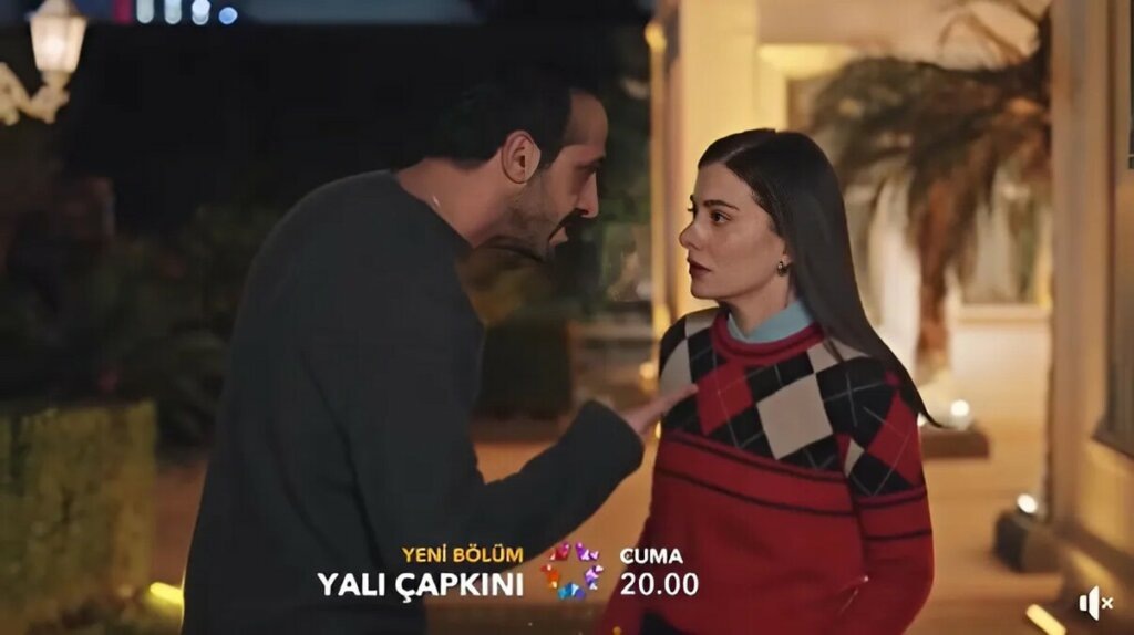 Suna and Ferit's halvet: shocking details of episode 89 of Wintergreen have come to light