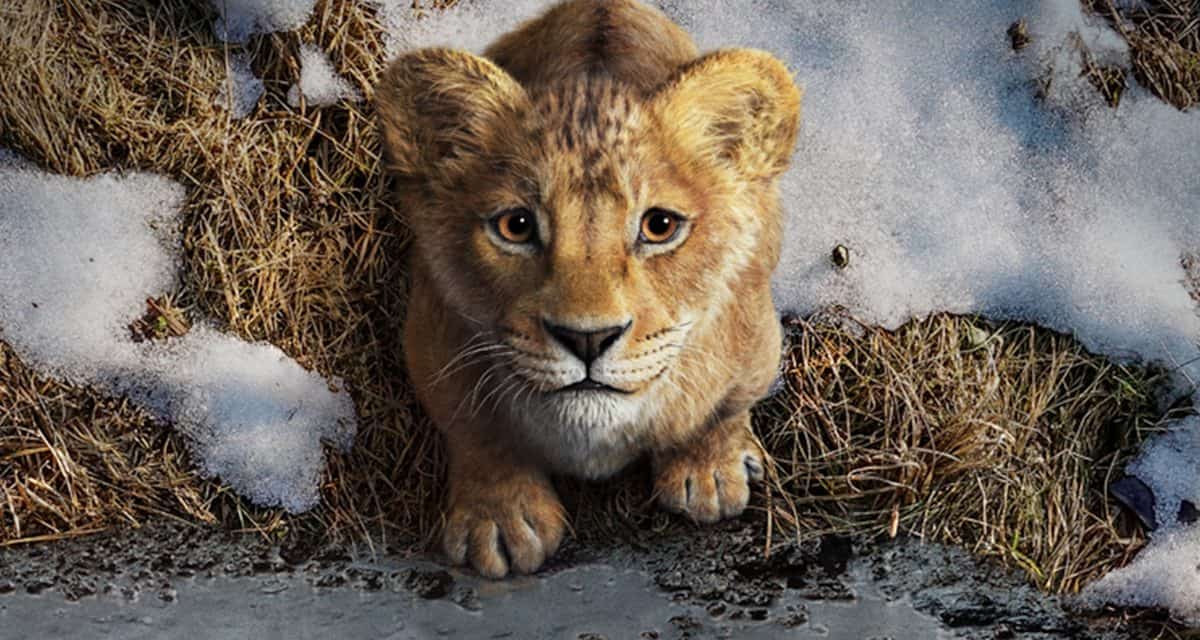 Film Mufasa: Der König der Löwen – Der Aufstieg zum Thron