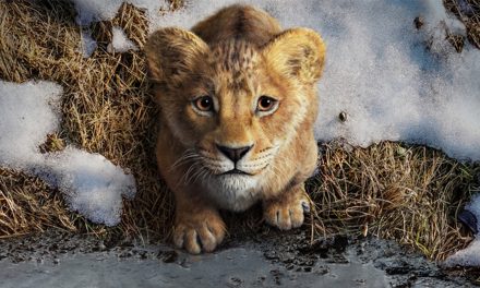 Film Mufasa: Der König der Löwen – Der Aufstieg zum Thron