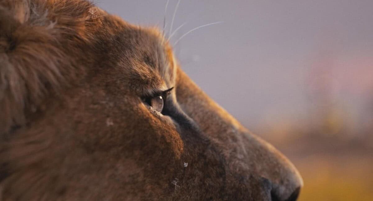  Mufasa: Der König der Löwen: Filmplakat-Kritik