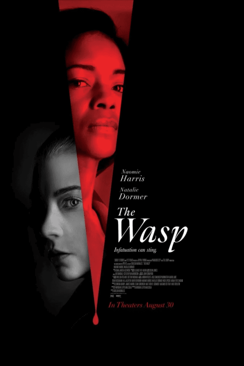 New Movies 2024, Which Have Already Been Released in Good Quality | Best New Movies | What to Watch This Weekend | Premiers | Movie Advisor