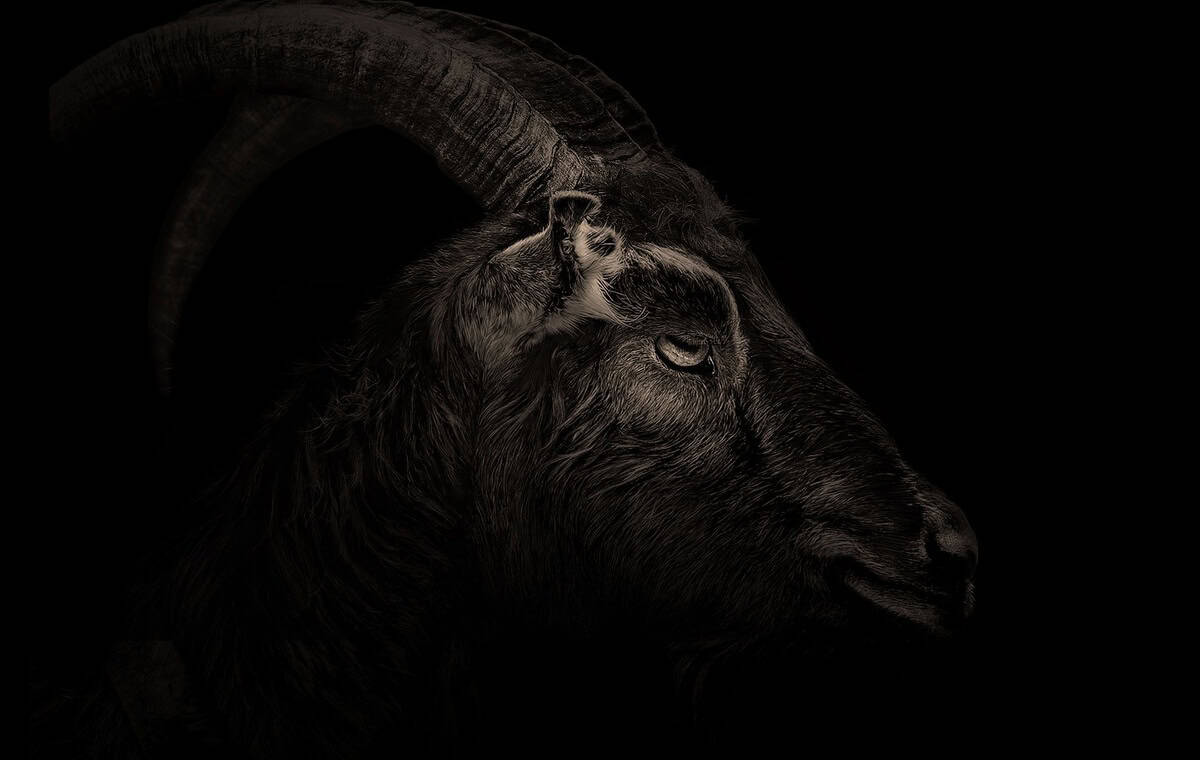 Horrorfilme mit Bezug zu Mystik und Ritualen