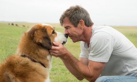 Was gibt es zu sehen #17? Film A Dog’s Life