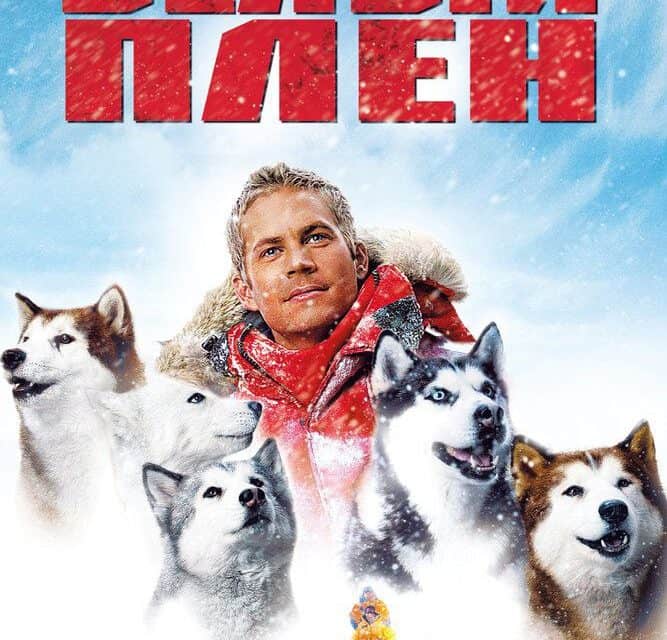 Die besten Filme über Schlittenhunde: Ein Ehrentag!