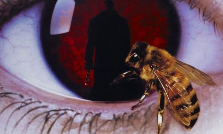 Weltbienentag: Die besten Filme über Bienen entdecken!