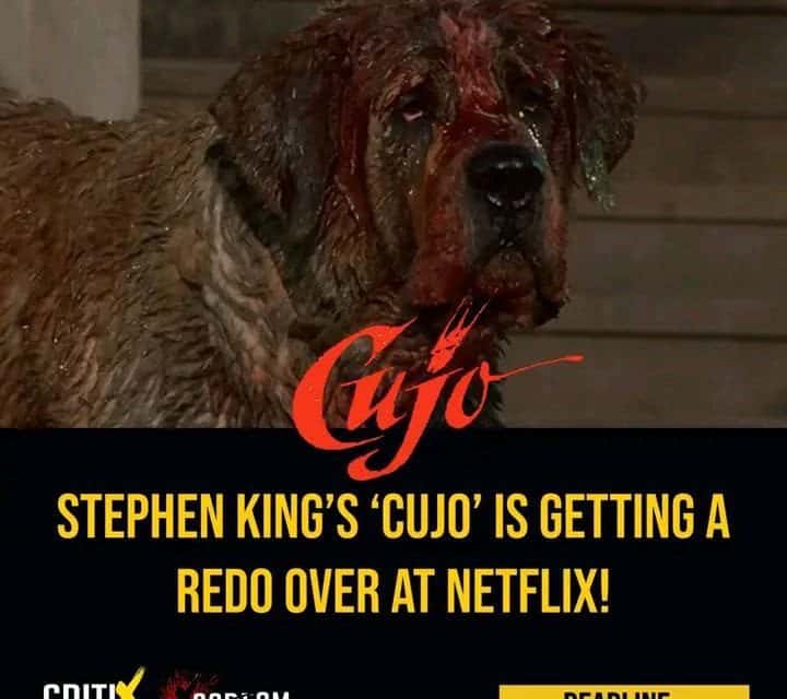 Neue Verfilmung von Stephen Kings Cujo: Spannung garantiert!