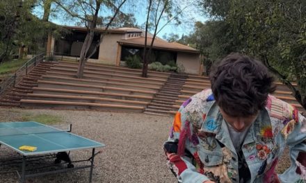 Timothée Chalamet: Rätselhafter Instagram-Post enthüllt Hinweise