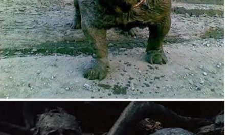 Entdecken Sie die Welt von Kino und Serien in unserer Gruppe!