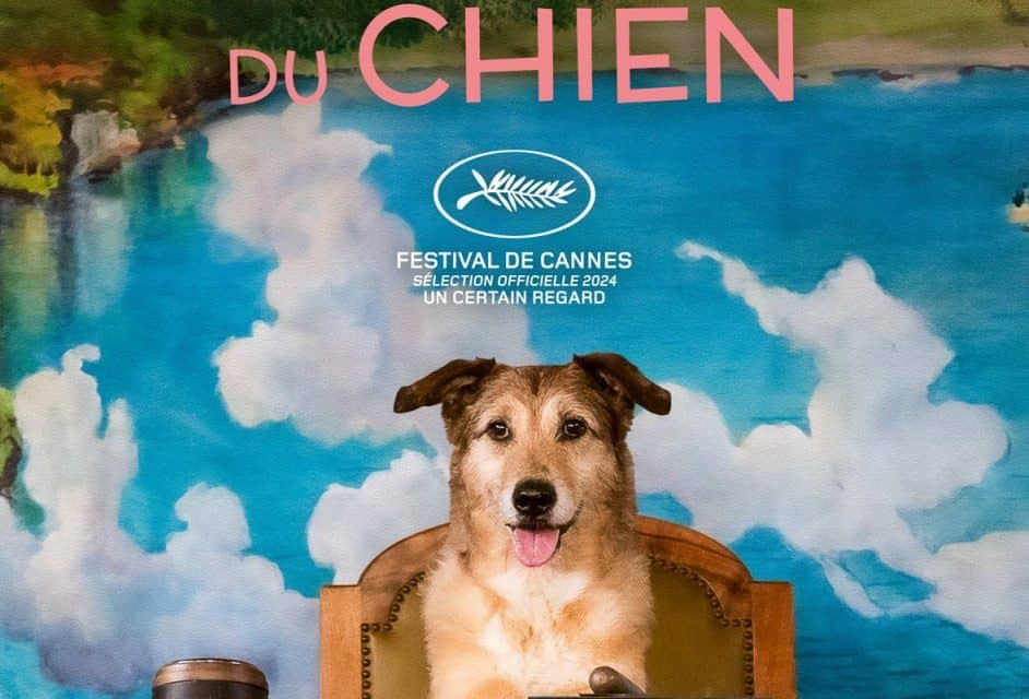 Filmvorführung „Hundeangelegenheit“ im Pionier: Einblick in Tierethik