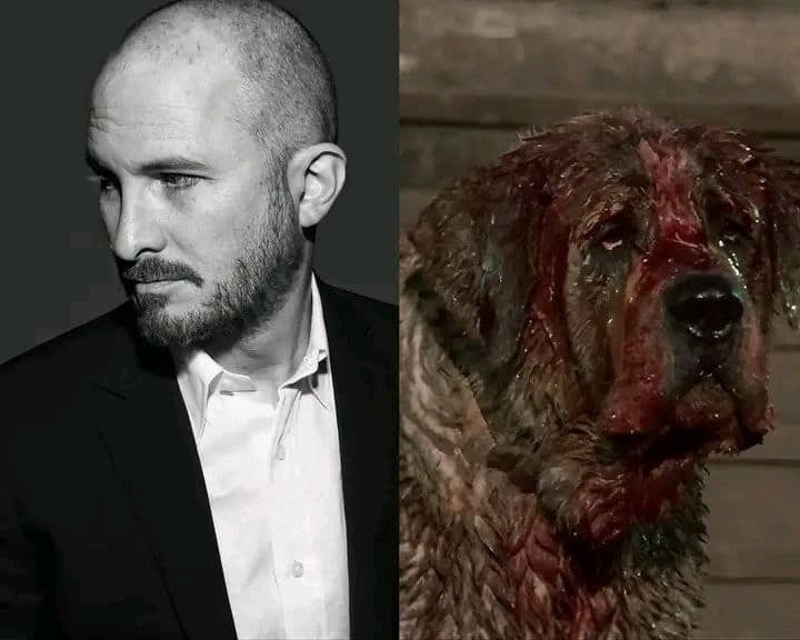 Neue Cujo-Verfilmung von Darren Aronofsky angekündigt!