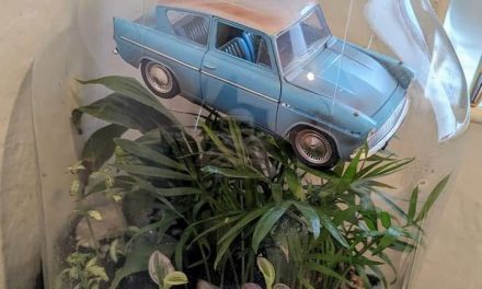 Harry-Potter-inspiriertes Floriarium: Magie für Ihr Zuhause