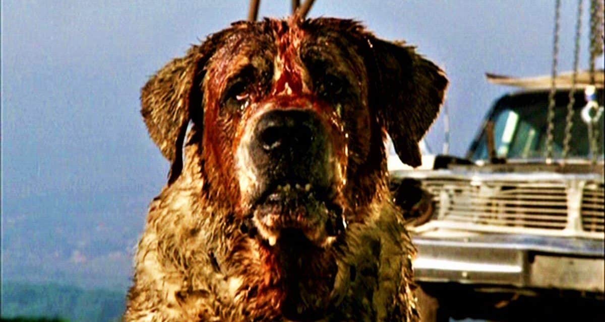 Darren Aronofsky plant neue Cujo-Adaption für Netflix