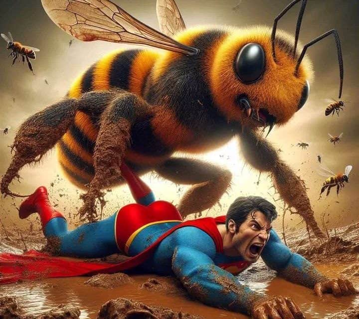 Superman gegen die gigantische Wespe: Ein episches Duell!