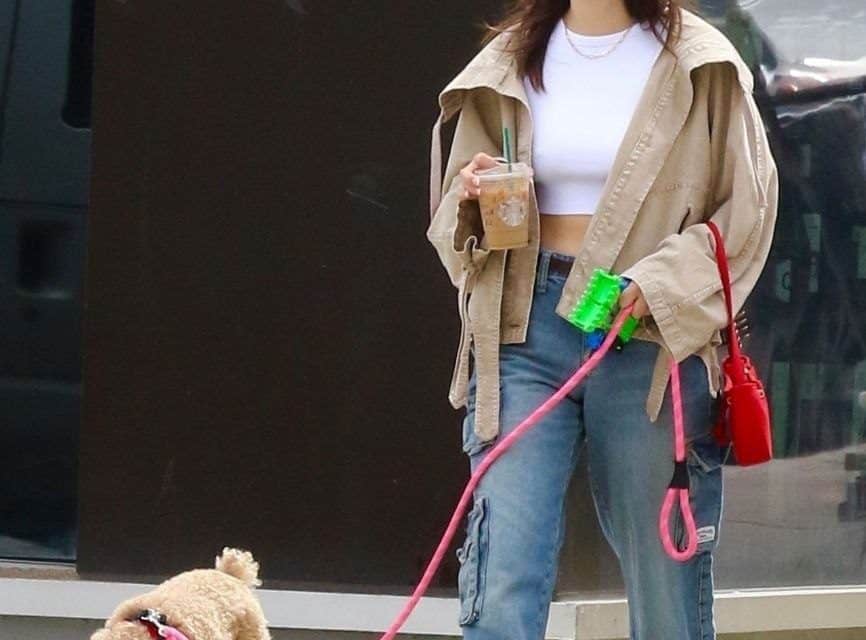 Millie Bobby Brown und ihr Hund: Ein cooles Duo in NYC!