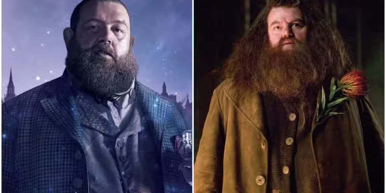 Nick Frost als Hagrid in neuer Harry Potter Serie?