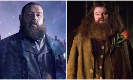 Nick Frost als Hagrid in neuer Harry Potter Serie?