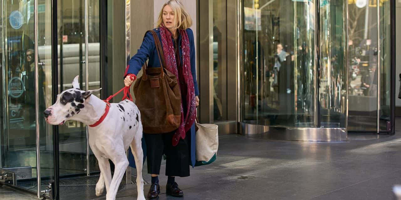 „The Friend“ mit Naomi Watts: Heilende Kraft von Tieren