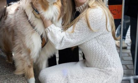 Amanda Seyfried und ihr Hund: Wer ist cooler?