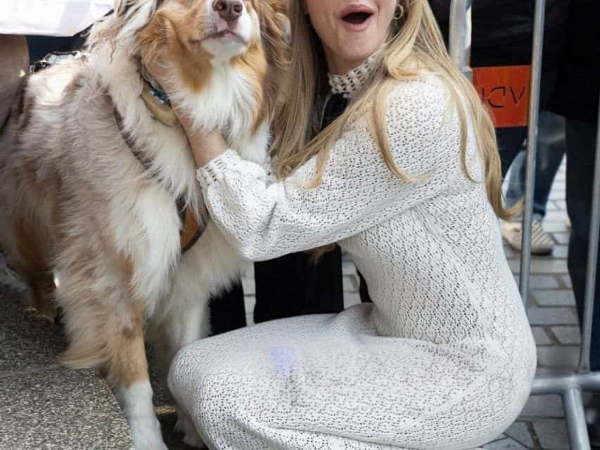 Amanda Seyfried und ihr Hund: Wer ist cooler?
