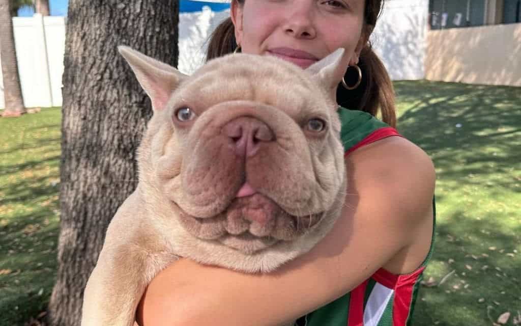 Millie Bobby Brown: Ihre besondere Verbindung zu ihrem Hund