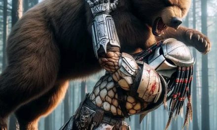Räuber vs. Bär: Wer gewinnt das epische Duell?