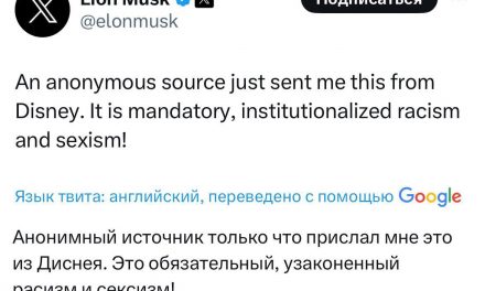 Elon Musk kritisiert Disneys Inklusionsstandards: Debatte entfacht