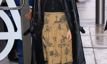 Bryce Dallas Howard: Femininer Chic oder lässiger Komfort?